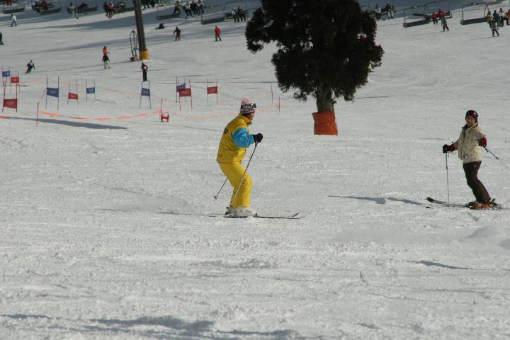 080127_095052_0.jpg