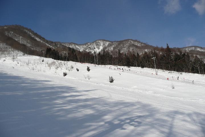 080126_083715_0.jpg