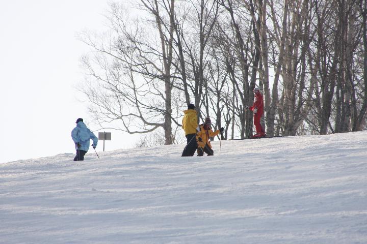 081210_132729_0.jpg