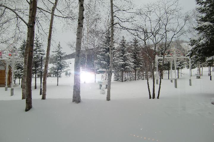 081212_073228_0.jpg