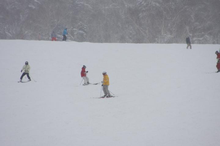 081212_142923_0.jpg