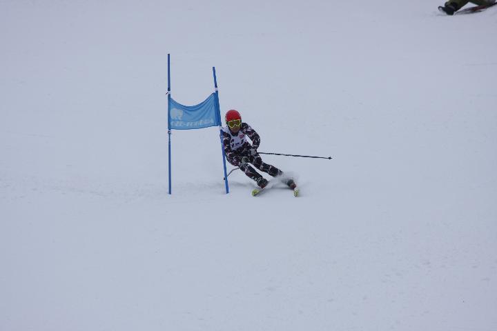 090118_123120_0.jpg