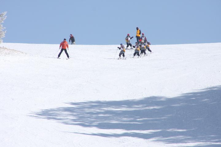 090221_133734_0.jpg
