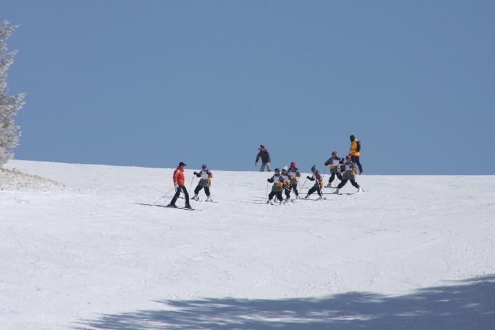 090221_133735_1.jpg