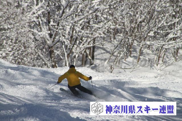 100124_121045_0.jpg