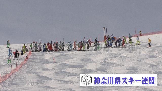 100131_094554_0.jpg