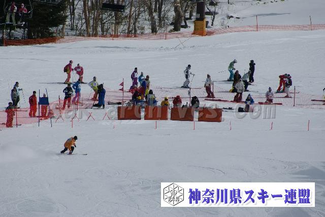 100131_094132_0.jpg