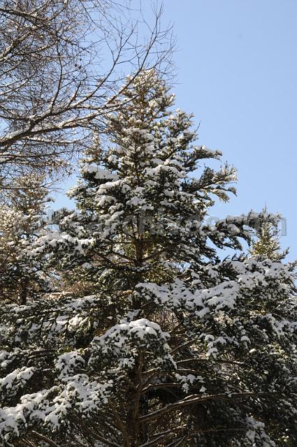 100220_101952_0.jpg
