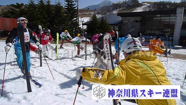 100305_100254_0.jpg