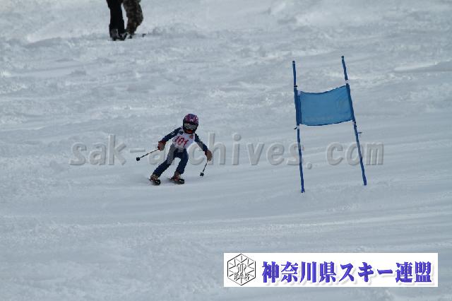 110115_122623_6.jpg
