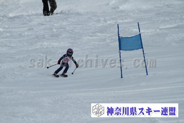 110115_122623_7.jpg