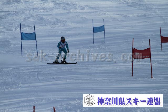 110115_125750_6.jpg