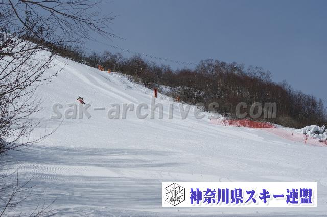 110205_104628_0.jpg