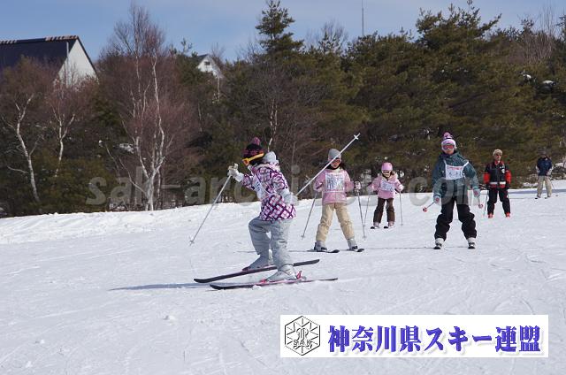 110220_110749_0.jpg