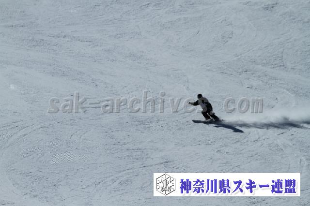 20110305_130236_1.jpg