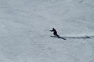 20110305_130236_2