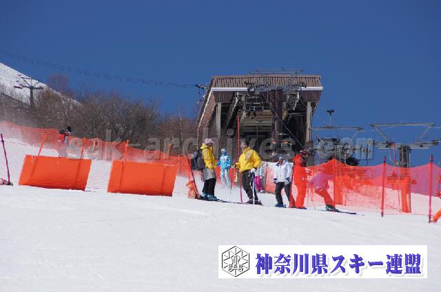20110305_110119_0.jpg