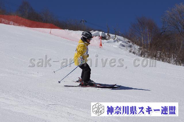 20110305_113549_0.jpg