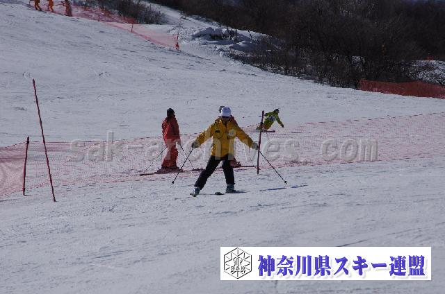 20110305_135147_1.jpg