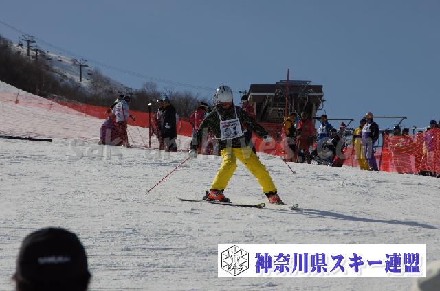 20110305_143345_1.jpg