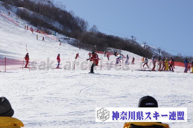 20110305_144425_0.jpg