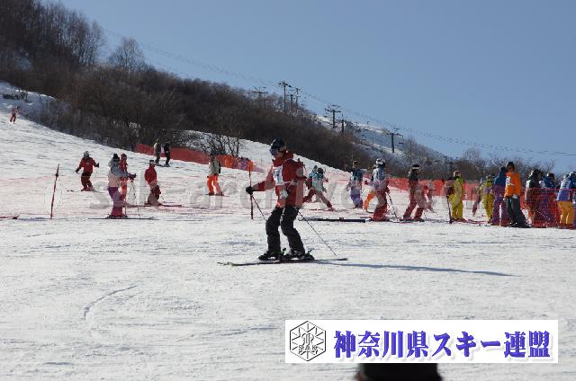 20110305_144437_0.jpg