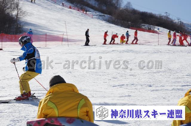 20110305_145452_1.jpg