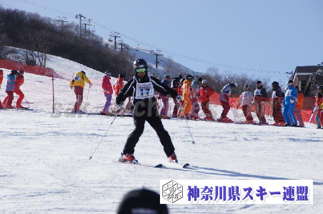 20110305_145802_0.jpg