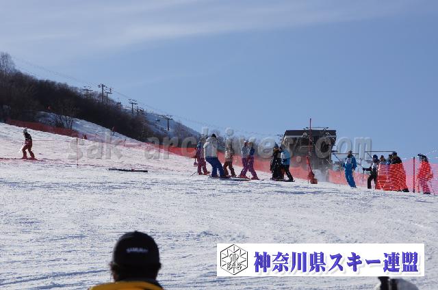 20110305_151525_0.jpg