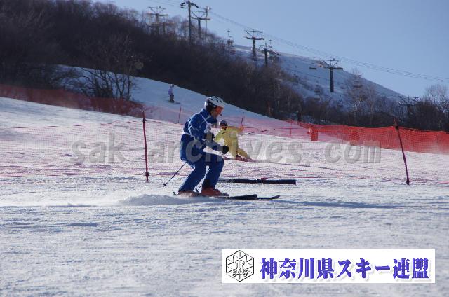 20110305_152036_1.jpg