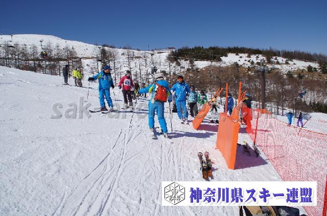 20110305_133620_0.jpg