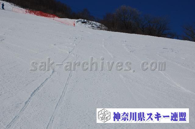 20110305_122136_0.jpg