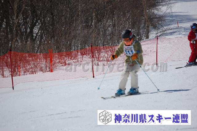 20110305_122801_1.jpg