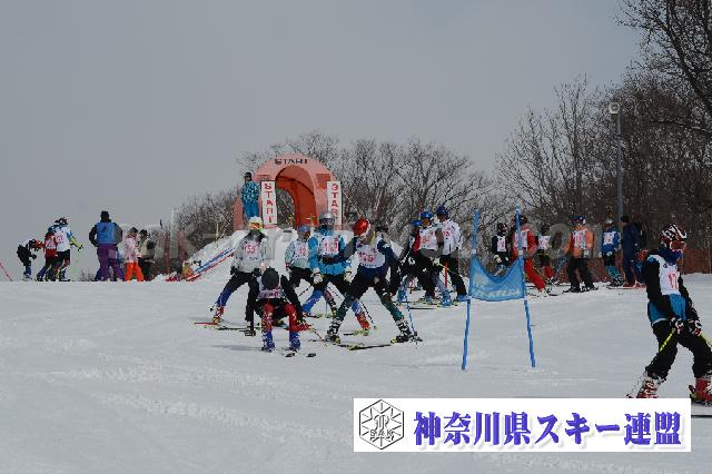 120114_110712_0.jpg