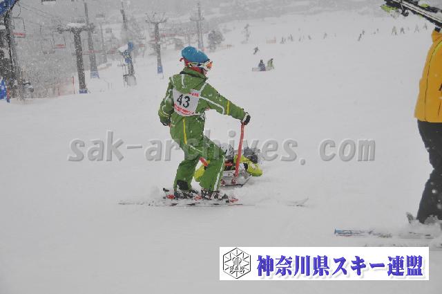 120120_114708_0.jpg