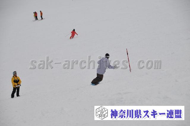 120122_113756_0.jpg