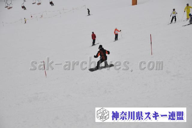 120122_113841_0.jpg