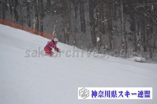 120128_091605_0.jpg