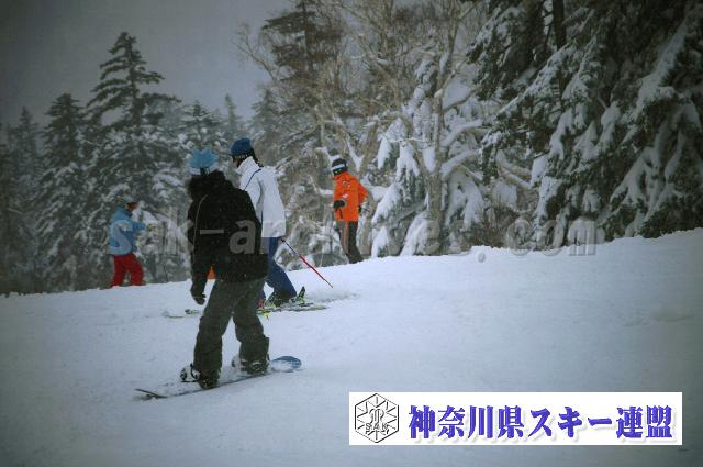 121214_132702_1.jpg