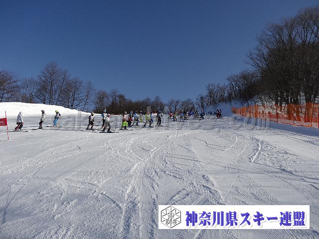 130121_090353_0.jpg