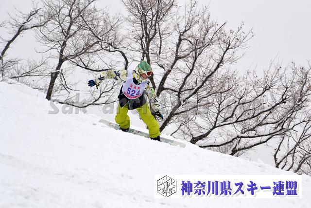 130203_110924_0.jpg