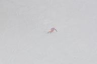 140126_122514_1