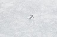 140126_114439_0