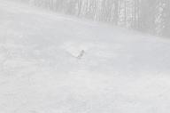 140126_114656_2