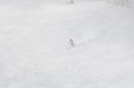 140126_114659_2