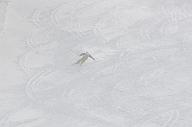 140126_114748_2