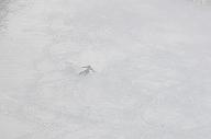 140126_114831_2