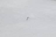 140126_115242_0
