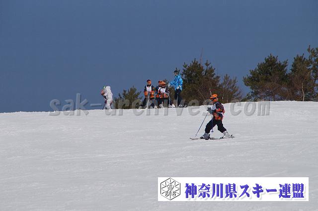 140316_114137_0.jpg