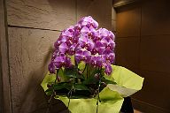 141210_210036_0